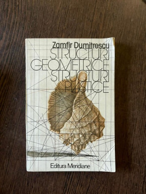 Zamfir Dumitrescu - Structuri geometrice, structuri plastice foto