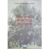 VALORI ALE SPIRITULUI BUJOREAN-FLORI RODICA, TIGHICI IACOMI-242016