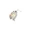 Carburator, compatibil cu compactor Wacker WM80, BS600, ABO-60172