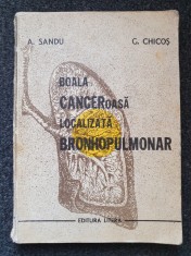 BOALA CANCEROASA LOCALIZATA BRONHOPULMONAR - Sandu, Chicos