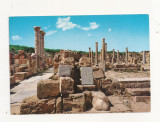 FA29-Carte Postala- LIBIA - Sabratha, Byzantine Churches, necirculata, Fotografie