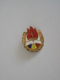 QW9 J 83 - Insigna - tematica pionieri - Stema pionierilor - 2,6/2 cm, Romania de la 1950