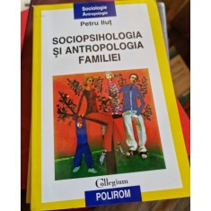 Sociopsihologia si antropologia familiei - Petru Ilut