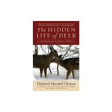 The Hidden Life of Deer: Lessons from the Natural World