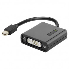 Adaptor DisplayPort- DVI-D Nou