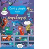 Cauta si gaseste. In timpul noptii (Usborne) - Usborne Books