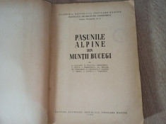 PASUNILE ALPINE DIN MUNTII BUCEGI de D. PUSCARU , F. SAGHIN , V. TASCENCO , 1956 foto