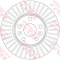 Disc frana RENAULT MEGANE II (BM0/1, CM0/1) (2002 - 2011) TRW DF6448