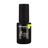 Oja semipermanenta EVER ENERGY 4.5 ML