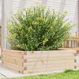 Cumpara ieftin Jardinieră de grădină, 70x70x23 cm, lemn masiv de pin