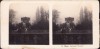 ST28N Wien, Stadtpark, Wiennfer, stereoscopic photo