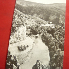 Ilustrata Suncuius - Valea Crisului judet Bihor cca 1960