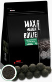 Haldorado - Boilies-uri Max Motion Boilie Premium Soluble 24mm, 800g - Black Squid