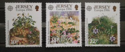 BC528, Jersey 1986, serie flori foto