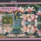 Guineea Bissau 2016, Flora, Orhidee, MNH