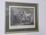Tablou Gravură Johann Elias Ridinger