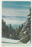 Bnk cp Peisaj de iarna la Cristianul Mare - Vedere - circulata, Printata, Brasov