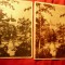 2 Ilustrate Deva , RPR - Parcul sepia si alb-negru Ed. Libraria Noastra 1954