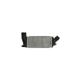 Intercooler Fiat Scudo 272 270 Denso Dit07001