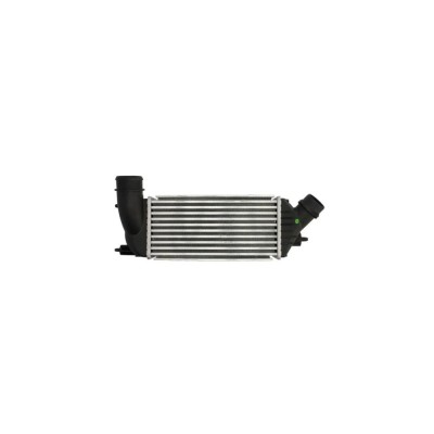 Intercooler Fiat Scudo 272 270 Denso Dit07001 foto