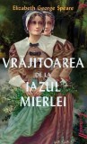 Vrajitoarea de la Iazul Mierlei - Elizabeth George Speare - Grupul Art