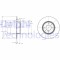 Delphi Disc frana