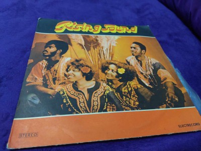 Disc vinil/vinyl vechi original,Rising Sound Electrecord 1977 Rock,Funk/Soul,Blu foto