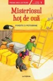 Cumpara ieftin Misteriosul hot de oua. Poveste cu pictograme/***