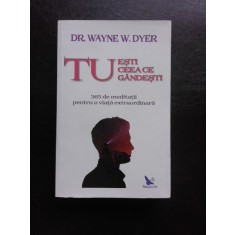 TU ESTI CEEA CE GANDESTI, 365 DE MEDITATII PENTRU O VIATA EXTRAORDINARA - WAYNE W. DYER
