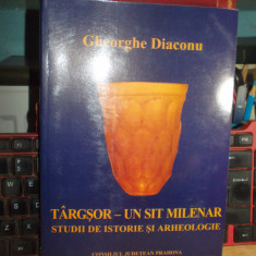 GHEORGHE DIACONU - TARGSOR - UN SIT MILENAR : STUDII DE ISTORIE/ARHEOLOGIE ,2003