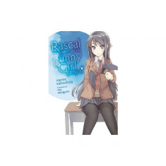 Rascal Does Not Dream of Bunny Girl Senpai (Light Novel)