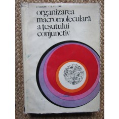 Organizarea Macromoleculara A Tesutului Conjunctiv - C. Velican D. Velican
