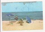 F2 - Carte Postala - Marea Neagra, La plaja, circulata