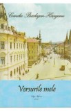 Versurile mele - Cornelia Buzdugan-Haseganu