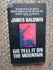 Go Tell it on the Mountain - JAMES BALDWIN