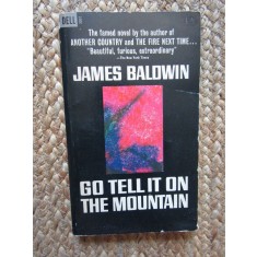 Go Tell it on the Mountain - JAMES BALDWIN