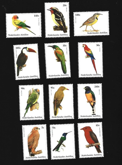 antilen pasari mnh