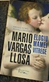Mario Vargas Llosa - Elogiu mamei vitrege