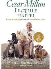 Lectiile haitei. Povestile cainilor care mi-au schimbat viata/Cesar Millan