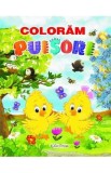 Coloram puisori