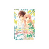 Kimi Ni Todoke: From Me to You: Soulmate, Vol. 2