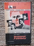 DOSARUL FABIANA-MIHU NEAGU