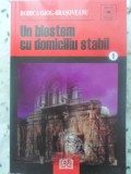 UN BLESTEM CU DOMICILIU STABIL-RODICA OJOG-BRASOVEANU-345866