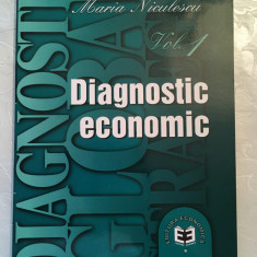 Maria Niculescu - Diagnostic economic - Vol. 1