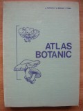 POPOVICI / MORUZI / TOMA - ATLAS BOTANIC - 1994