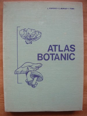 POPOVICI / MORUZI / TOMA - ATLAS BOTANIC - 1994 foto