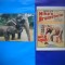 HOPCT LOT NR 452 ELEFANT/ELEFANTI -FAUNA-2 CARTI POSTALE-NECIRCULATE