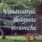 Vanatoarea, dragoste straveche - E. Popescu Jianu, S. Polverejan (Vanat, Timis)