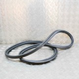 Garnitura de cauciuc haion TESLA MODEL 3 2021 OEM: 1091069-00-D 15439471