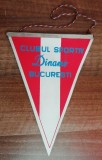 D9 - Fanion - fotbal - Clubul Dinamo Bucuresti